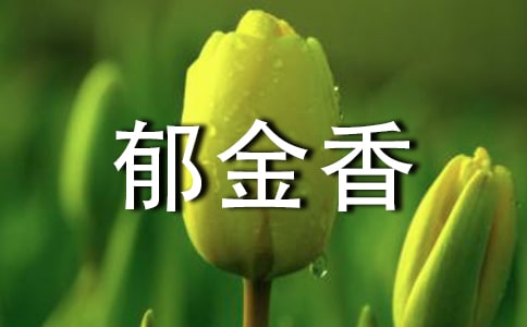 ����(j��ng)�䣩����������