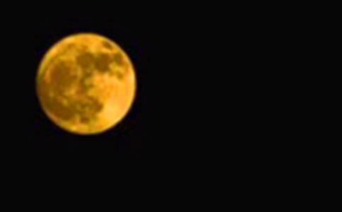 (優秀)月圓之夜作文