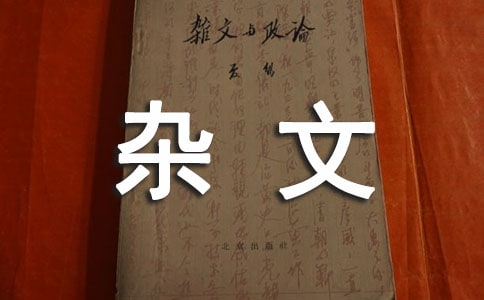 王小波雜文
