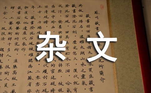 哲學(xué)到底是個什么東西-雜文