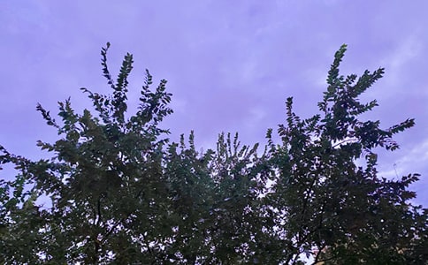 �����������簲���Z�R����ͨ��170�䣩