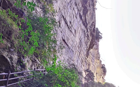 我的張家界之旅作文
