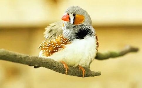 ���꼉�Z�ġ������B���u�n��