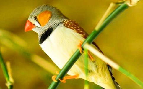 �������B���̌W�OӋͨ��15ƪ