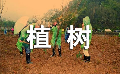植樹問題評課稿(精選10篇)