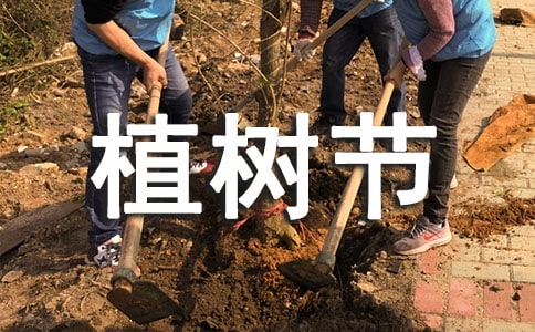 跟植樹節有關的手抄報