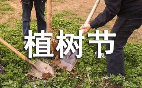春天植樹節手抄報內容
