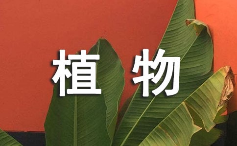 ��ֲ������k�����̌W�OӋ����