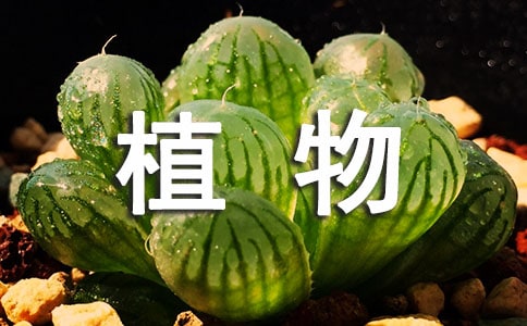ֲ������k���̌W(xu��)�O(sh��)Ӌ