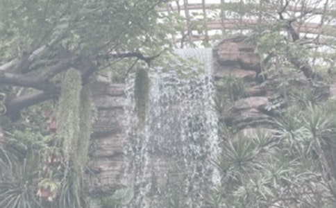 秋天的植物園作文