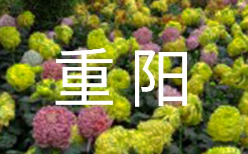 (優秀)重陽敬老愛老主題班會