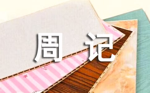 關(guān)于過(guò)年周記