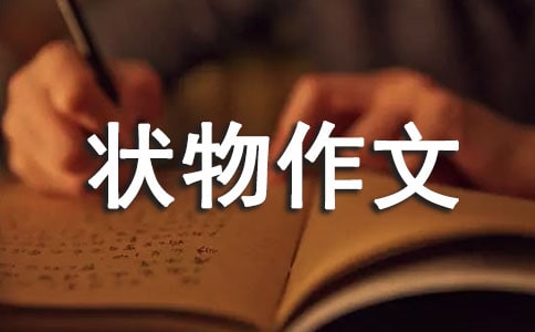 【推薦】狀物作文300字52篇