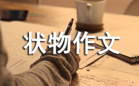 關于狀物作文300字匯總五篇