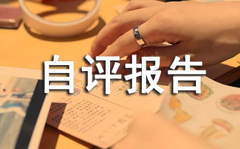 績效考核自評報告