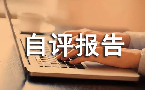 績效考評自評報告