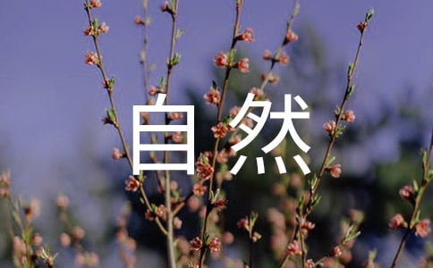 ����Ȼ�����u�n�壨�؂䣩