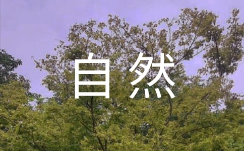 �����x��������Ȼ�������u(p��ng)�n��