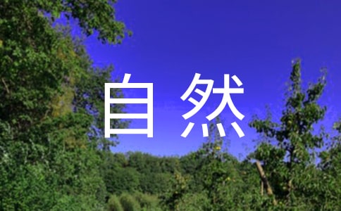 ������Ȼ�������u�n���