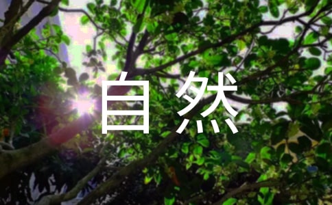 熱愛大自然的詩歌