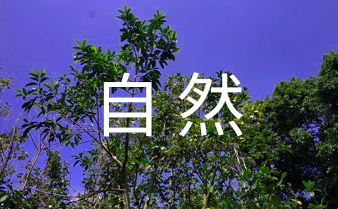 ��Ȼ�Y��������������߾���