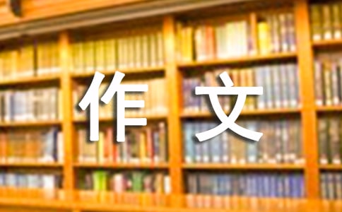 С�WС�Y����(���x)