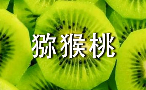 �J��������15ƪ�����䣩