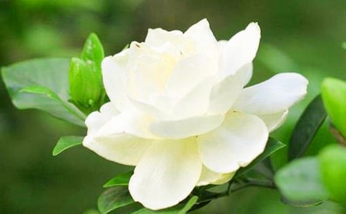 �d�ӻ��_(k��i)����