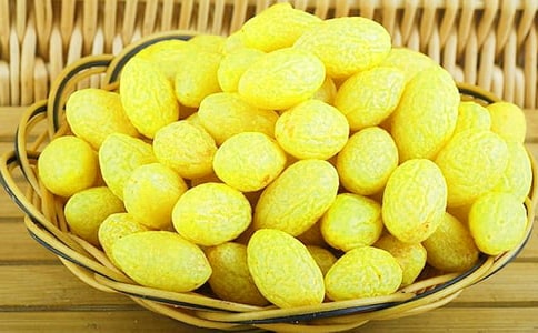 (優秀)我也銜過一枚青橄欖作文15篇