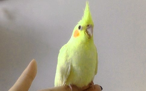 ��ֻ�W�^����