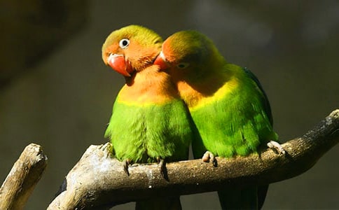 ���W�^�����r(n��ng)����꡷�g����עጼ��b�p
