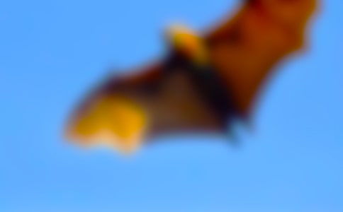 ����������_���̌W�OӋ(���A9ƪ)