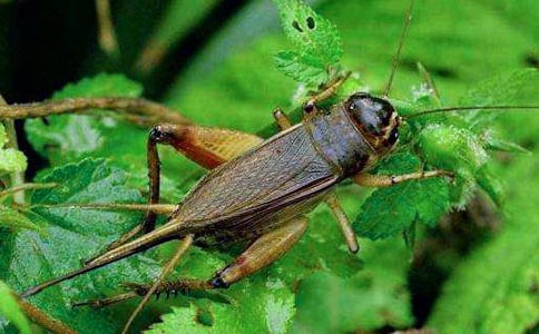 ���סլ�u�n��[���x]