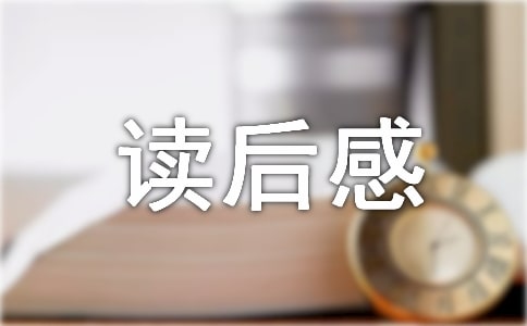 黃道婆讀后感5篇