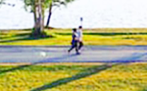 公園實習報告