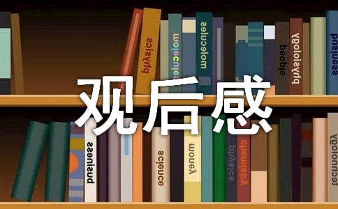 參觀科技館觀后感13篇