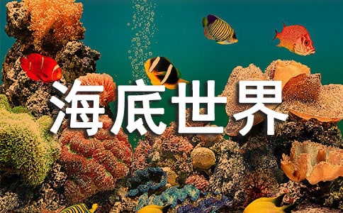 ���������硷�u�n�僞��[11ƪ]