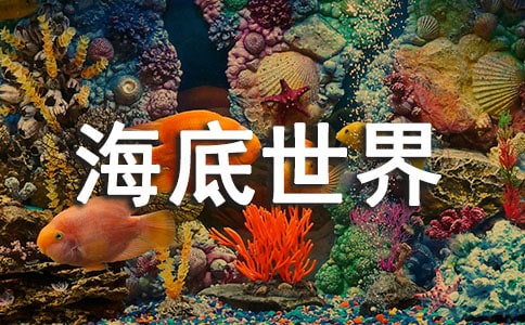 �����㣩���������硷�u�n��11ƪ
