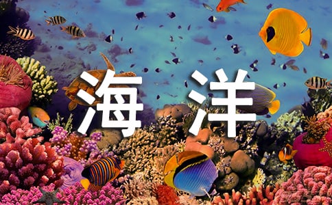 “越文化是一種半農(nóng)耕半海洋的文化”閱讀答案