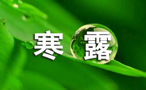 ���º�¶����Ψ���İ������x145�䣩