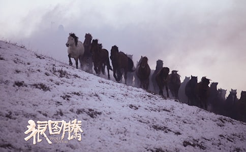 電影狼圖騰觀后感11篇