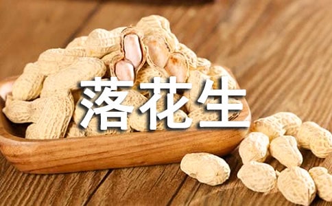 ���仨�����̌W�OӋ(15ƪ)