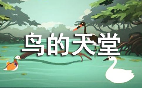 《鳥的天堂》教學(xué)設(shè)計(jì)(15篇)