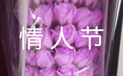 �������˹����ӡ��᡿