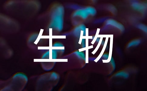 �P(gu��n)�ڳ�������̌W(xu��)�������Y(ji��)������ƪ