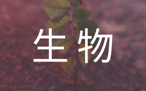 【精華】初一生物教學工作總結(jié)三篇