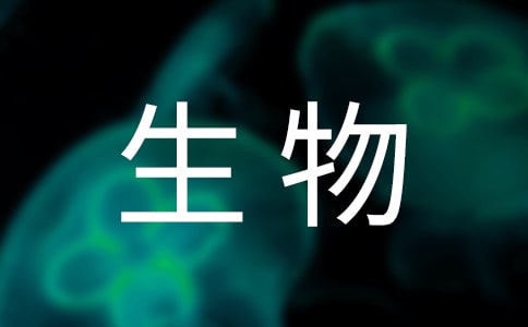 ���P����̌W���Y
