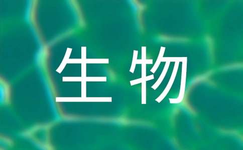 ��(x��)������W(xu��)�n�̿��Y(ji��)���ģ����x8ƪ��