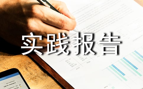 自動化專業實踐報告