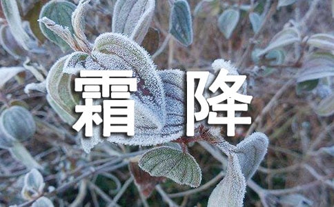 2023年霜降班級(jí)群簡(jiǎn)短文案190句